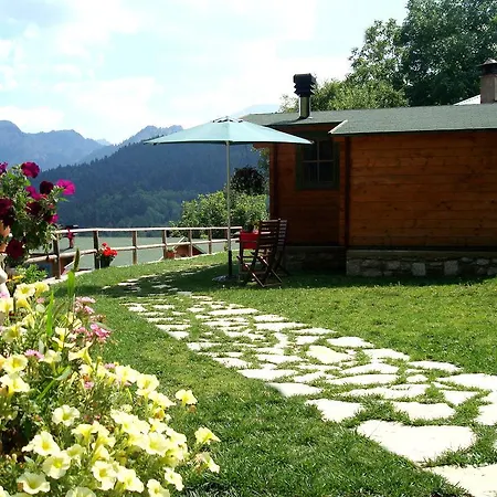 Wild Life Chalets Holiday home